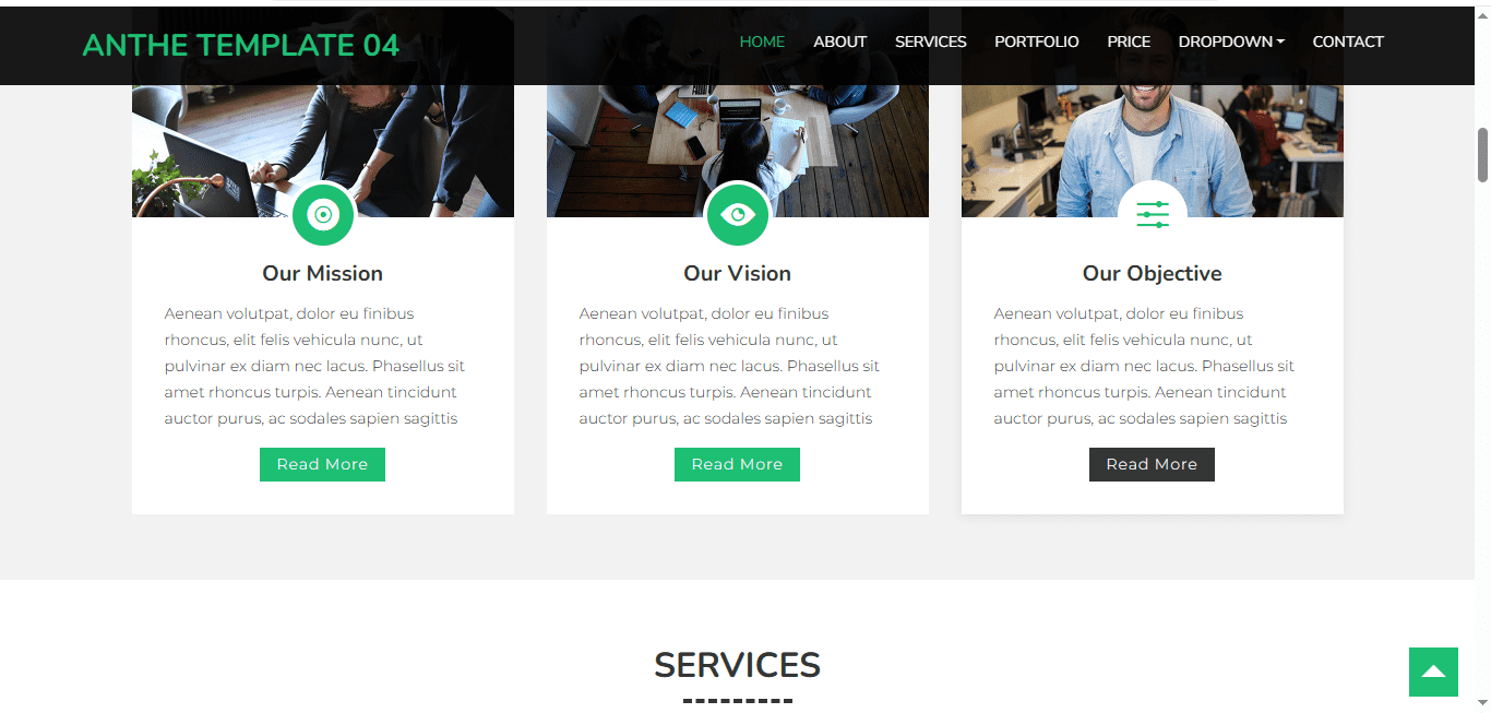 ANTHE Template 04 - Image 4